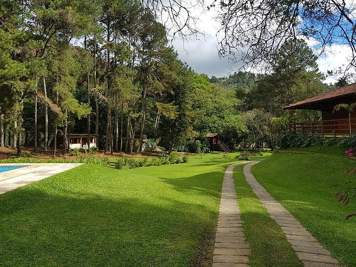 Brazil, grass, swimming pool, trees, forest, hut, flowers, plant, HD wallpaper