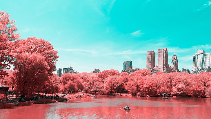 New York City, Infrared, 4K, Central Park, Manhattan, Lake, HD wallpaper