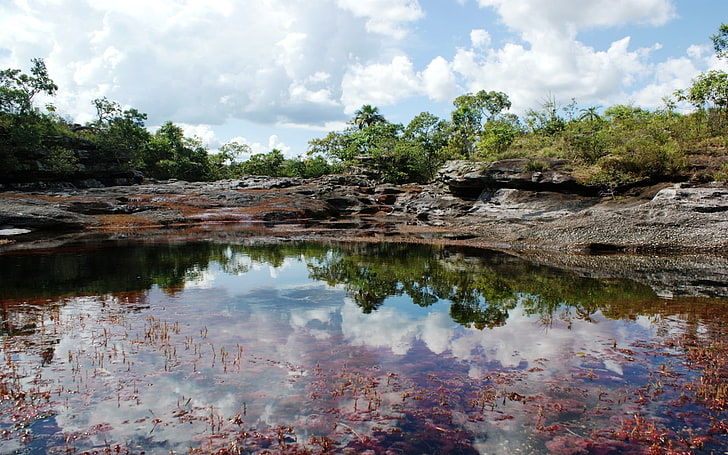 cano cristales, water, tree, sky, plant, cloud - sky, beauty in nature, HD wallpaper