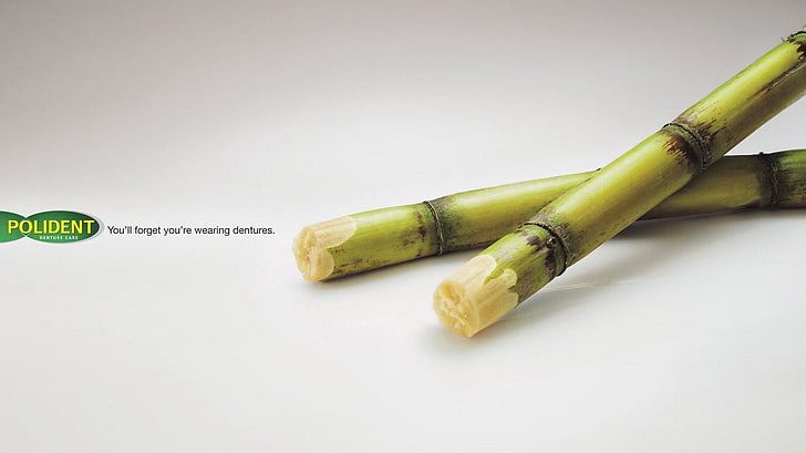 two green sugar canes, artwork, commercial, studio shot, indoors