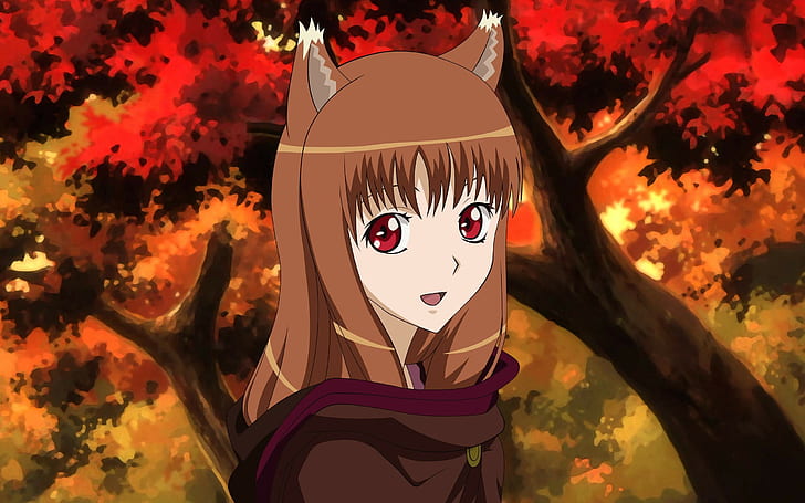 anime girls, Spice and Wolf, Holo, wolf girls, Okamimimi