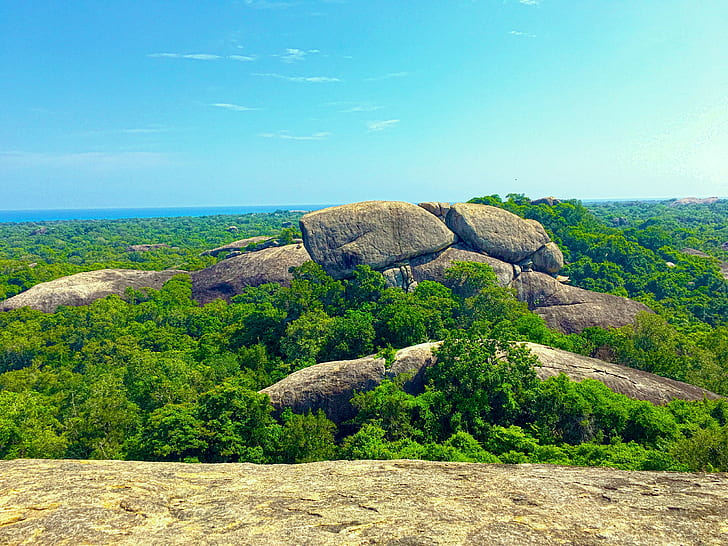 Sri Lanka, nature, rock, trees, photography, forest, HD wallpaper