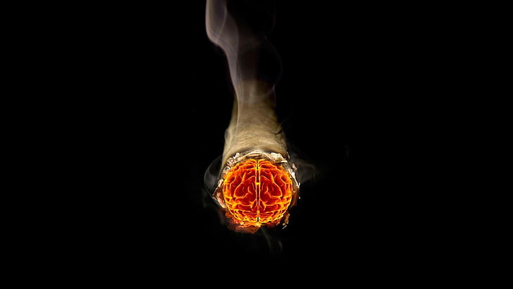 red human brain illustration, cigarettes, black background, studio shot