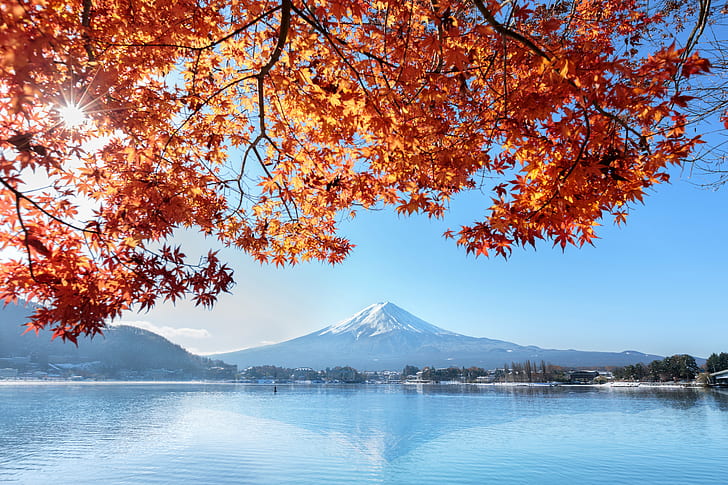 autumn, the sky, leaves, colorful, Japan, red, maple, mount Fuji, HD wallpaper