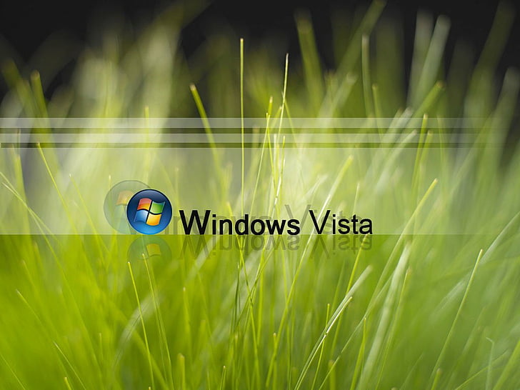 1366x768px | free download | HD wallpaper: Windows, Windows Vista, green  color, communication, grass, plant | Wallpaper Flare