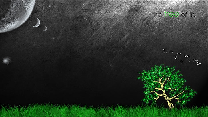 tall tree and moon digital wallpaper, trees, life, blackboard