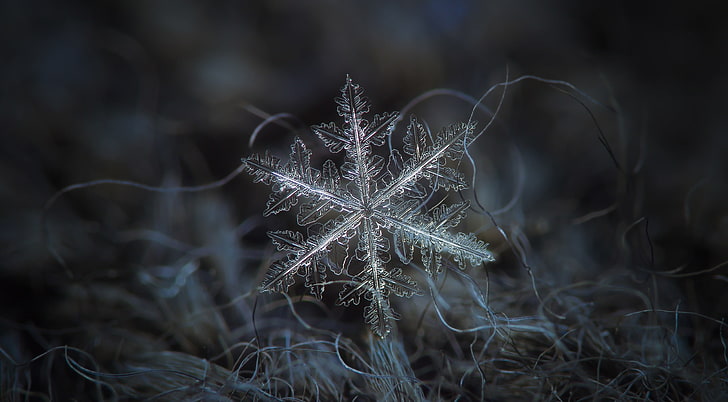Snowflake Background, Aero, Macro, Full, Blue, Dark, Beautiful