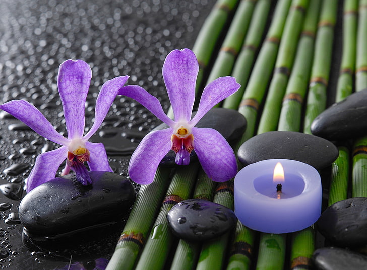 blue tealight, drops, flowers, bamboo, orchids, Spa stones, candle, HD wallpaper