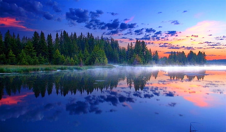 body of water, morning, mist, Grand Teton National Park, forest, HD wallpaper