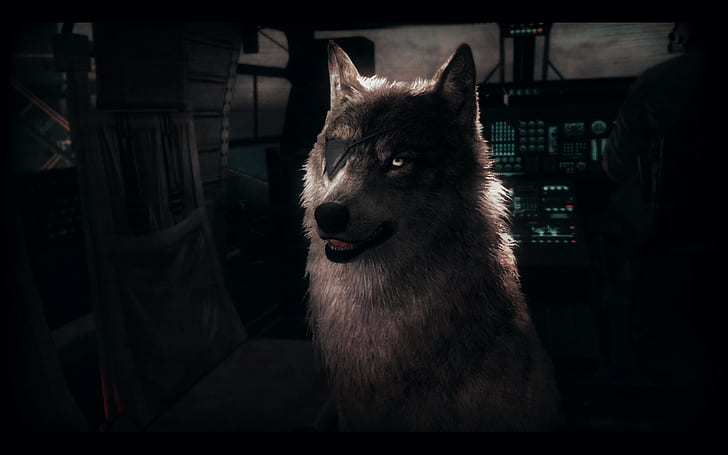 wolf, Metal Gear Solid, Solid Snake, Diamond Dog, Metal Gear Solid V: The Phantom Pain, HD wallpaper