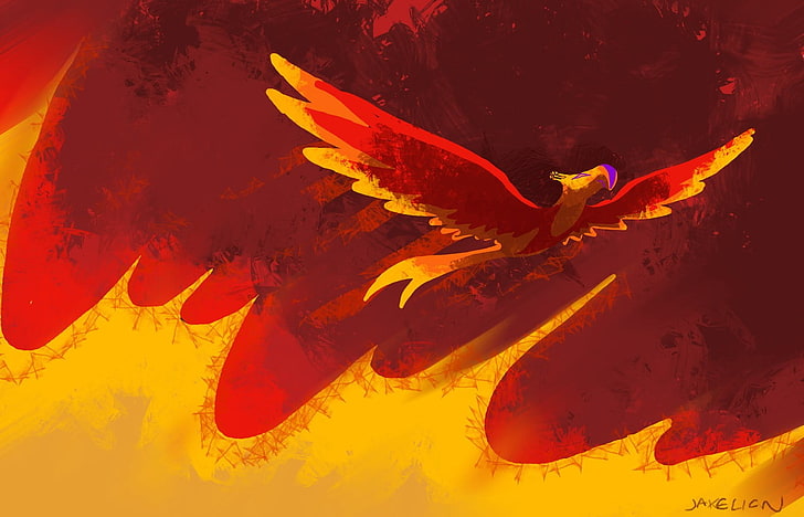 yellow, red, and orange bird illustration, My Little Pony, Philomena, HD wallpaper