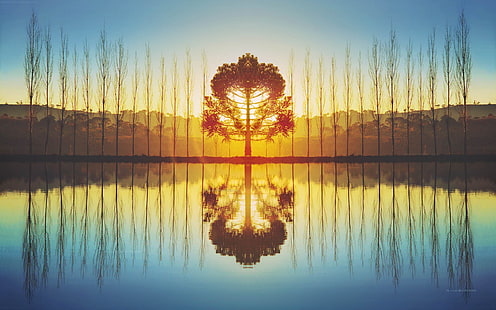 HD wallpaper: green trees, nature, symmetry, sunlight, reflection, sky,  water | Wallpaper Flare