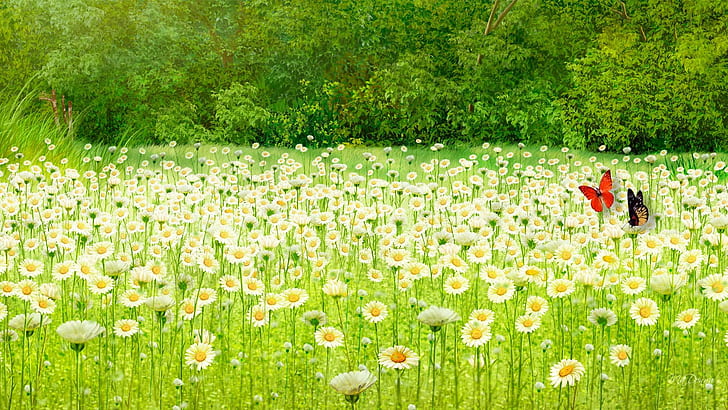 Fresh As Spring, bright, flowers, daisies, trees, field, light, HD wallpaper