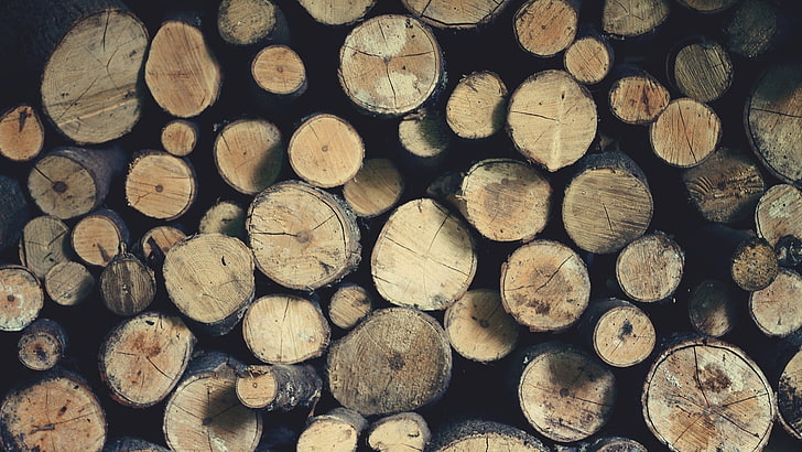 brown firewood log lot, timber, lumber industry, wood - material, HD wallpaper