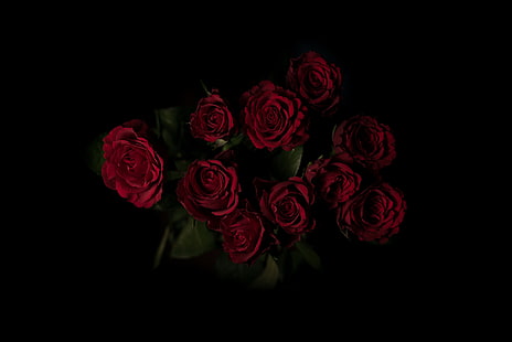 HD wallpaper: Red Roses, Dark background, Rose flowers, 4K | Wallpaper Flare