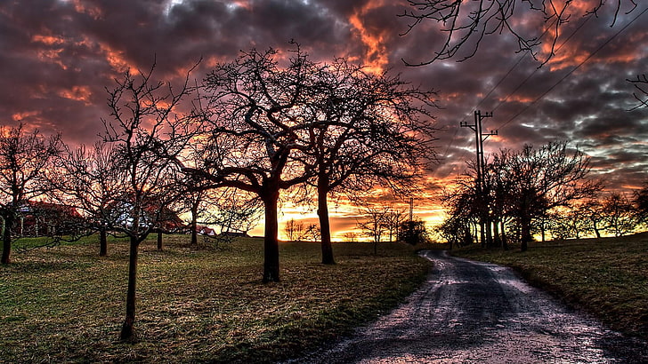 HD wallpaper: sky, cloud, sunset, tree, branch, dirt road, evening,  photography | Wallpaper Flare