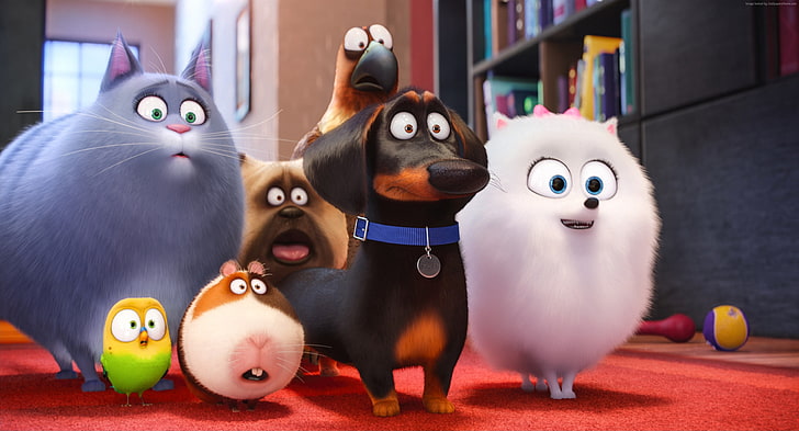 cartoon, dog, Best Animation Movies of 2016, The Secret Life of Pets, HD wallpaper
