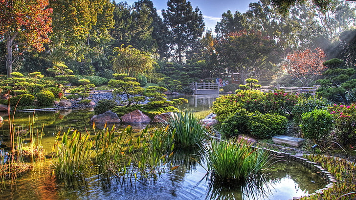 pond, us, usa, united states, autumn, california, japanese garden, HD wallpaper