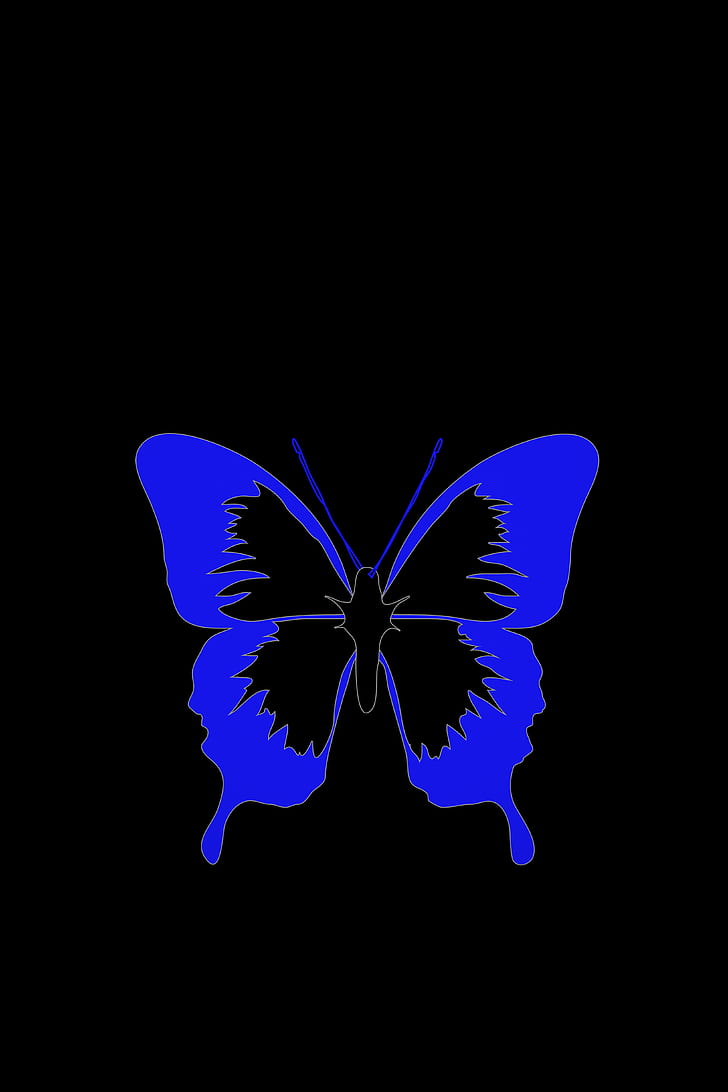 HD wallpaper: butterfly, minimalism, black, blue | Wallpaper Flare