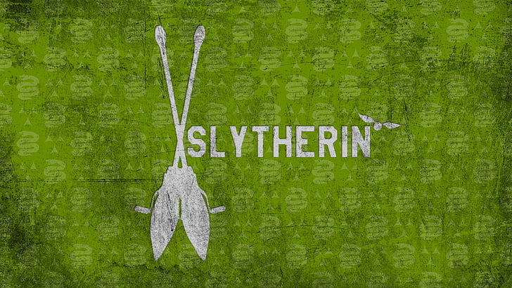Harry Potter, Broom, Slytherin, green color, text, communication, HD wallpaper