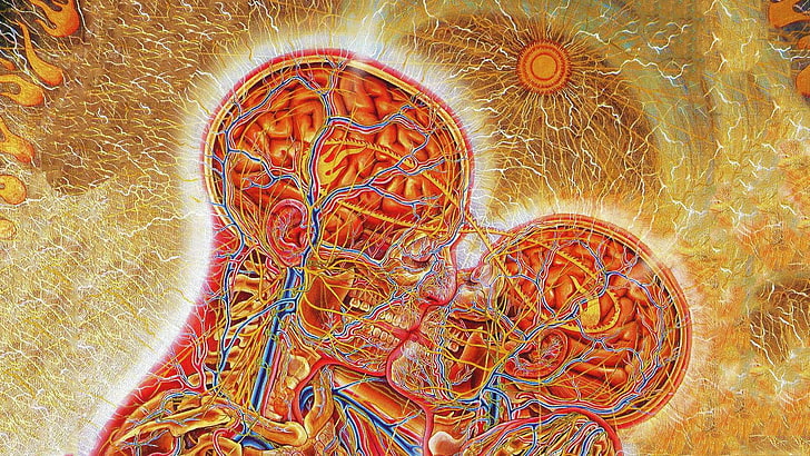 two people kissing anatomy painting, artwork, brain, surreal