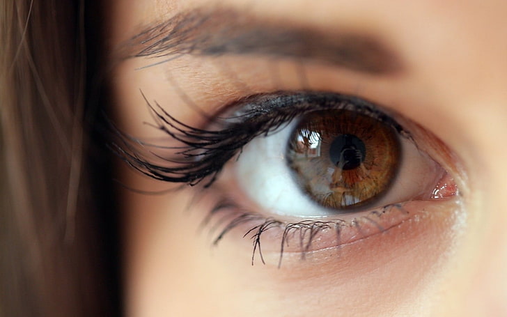 person's brown eye, women, brunette, Markéta Stroblová, eyes, HD wallpaper