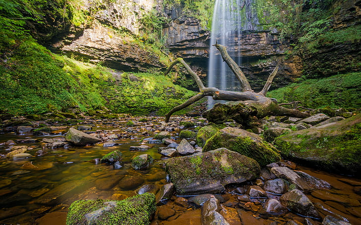 Waterfall Moss Forest Rocks Stones Stream Log HD, nature, HD wallpaper