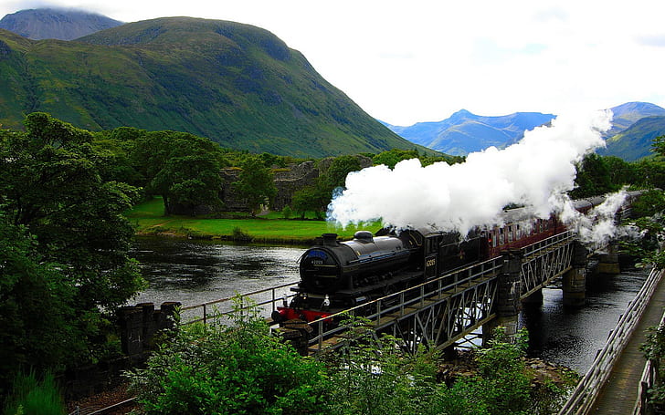 steam locomotive, trees, train, valley, nature, landscape