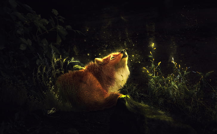Fox, Forest, 4K, Enchanted, Howling, HD wallpaper
