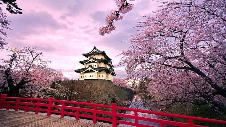 japan cherry blossoms blossoms temples japanese bridge 1920x1080  Architecture Bridges HD Art
