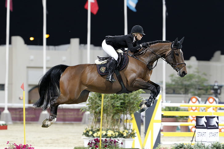 Horseback riding, edwina tops-alexander, Jumping, rider, sport, HD wallpaper