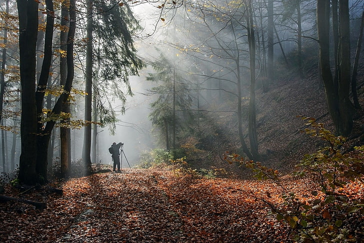 man on forest during daytime, sunlight, path, mist, photographer, HD wallpaper