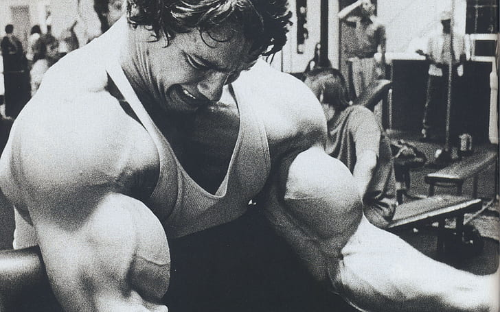barbell, Arnold Schwarzenegger, exercising, Bodybuilder, bodybuilding, HD wallpaper