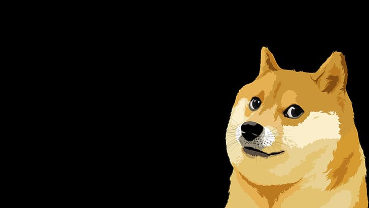 Hình nền  đối mặt Memes Doge Động vật có vú 1366x768 px Động vật có  xương sống Chó như động vật có vú Nhóm chó giống 1366x768  wallhaven   519675 