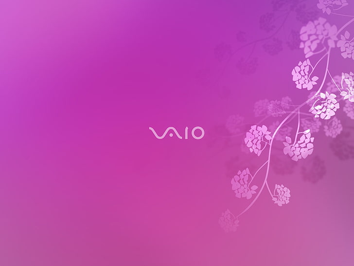 pink and white floral textile, Sony, VAIO, colored background