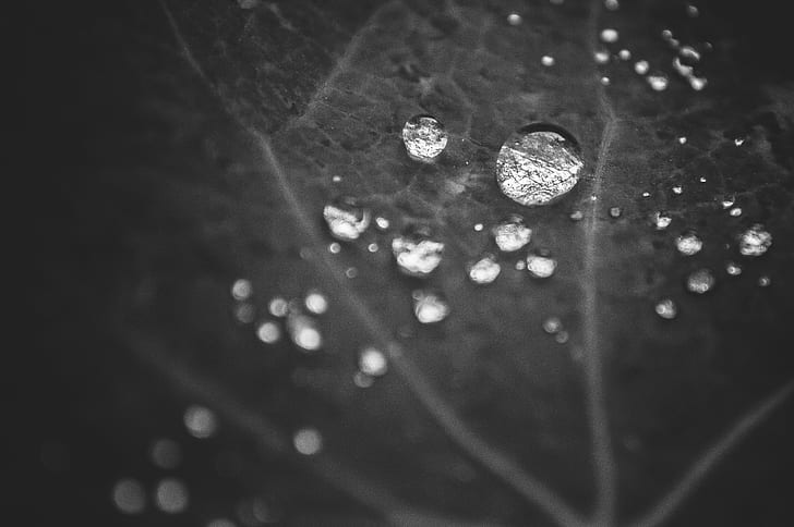 Espejos, Explored, untitled, droplet, macro, gota, agua, black and white