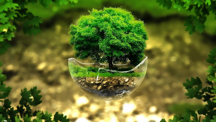 green leaf tree, nature, leaves, plants, digital art, floating island, HD wallpaper