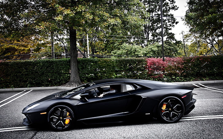 black sports coupe, Lamborghini Aventador, car, transportation, HD wallpaper