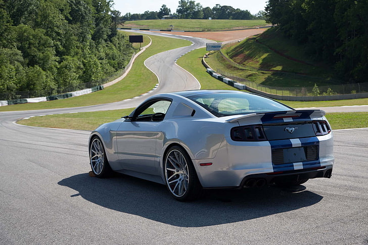 white Ford Mustang GT, muscle cars, vehicle, silver cars, road