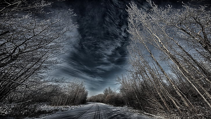 trees, sky, dark, winter, road, HD wallpaper