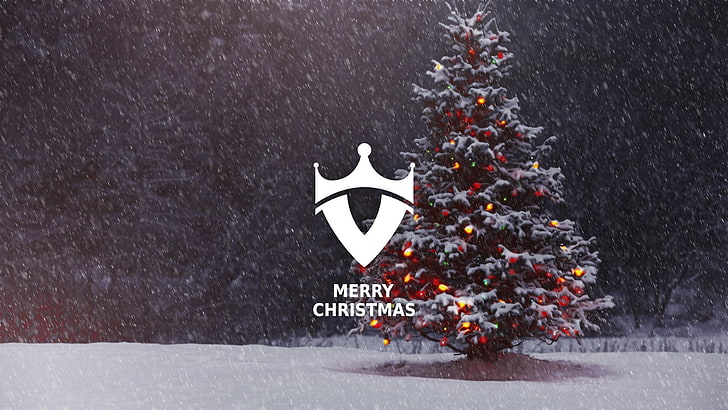 pine tree with Merry Christmas text overlay, snow, Christmas Tree