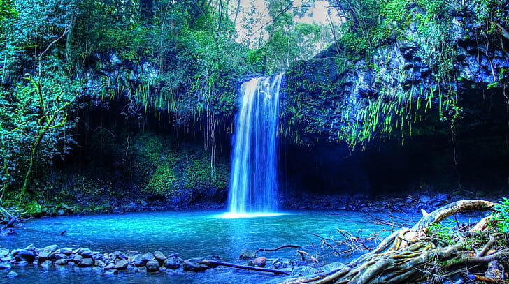 Maui, waterfall, beach, palm trees, isle of Maui, Hawaii, tropical forest, HD wallpaper