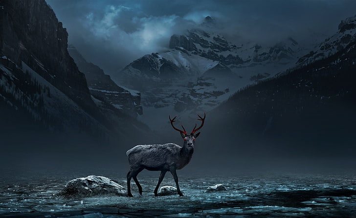 gray deer, nature, animals, mountains, red eyes, digital art, HD wallpaper