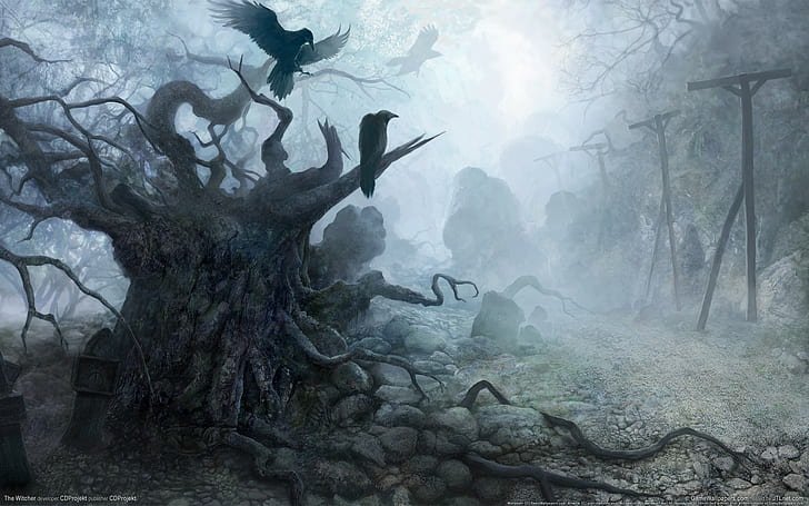 raven deep forest mist the witcher, tree, fog, nature, plant, HD wallpaper