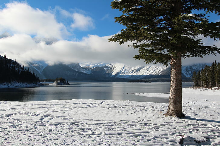 landscape photography of pine tree and lake with snowy weather, upper kananaskis lake, upper kananaskis lake