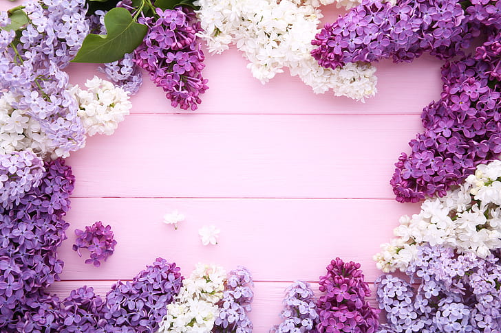 flowers, background, wood, lilac, purple