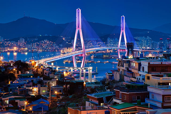 bridge, building, home, Bay, night city, South Korea, Busan, HD wallpaper