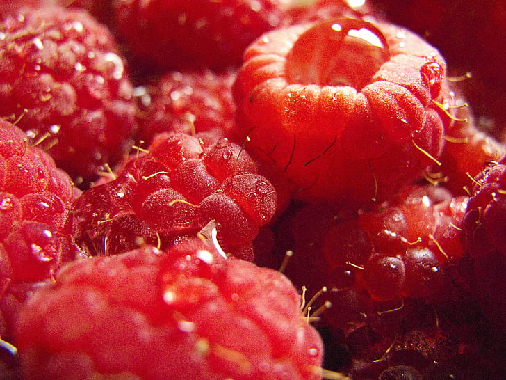 red fruits, Wet, Raspberries, raspberry, red  fruit, closeup, HD wallpaper