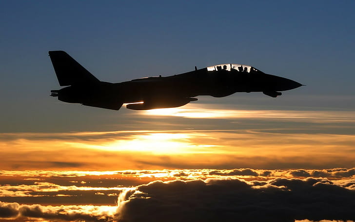 airplane, sunset, Grumman F-14 Tomcat, silhouette, clouds, aircraft, HD wallpaper