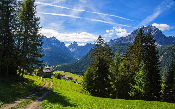 green grass, nature, landscape, mountains, Alps, valley, path, HD wallpaper